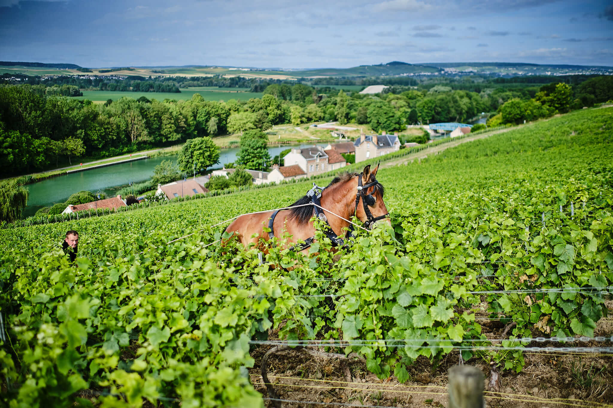 Clos des Goisses - Champagne Philipponnat