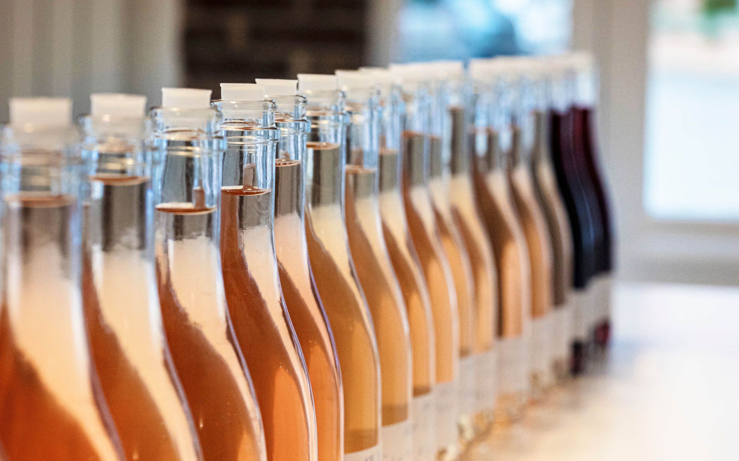 Les vins clairs - Champagne Philipponnat