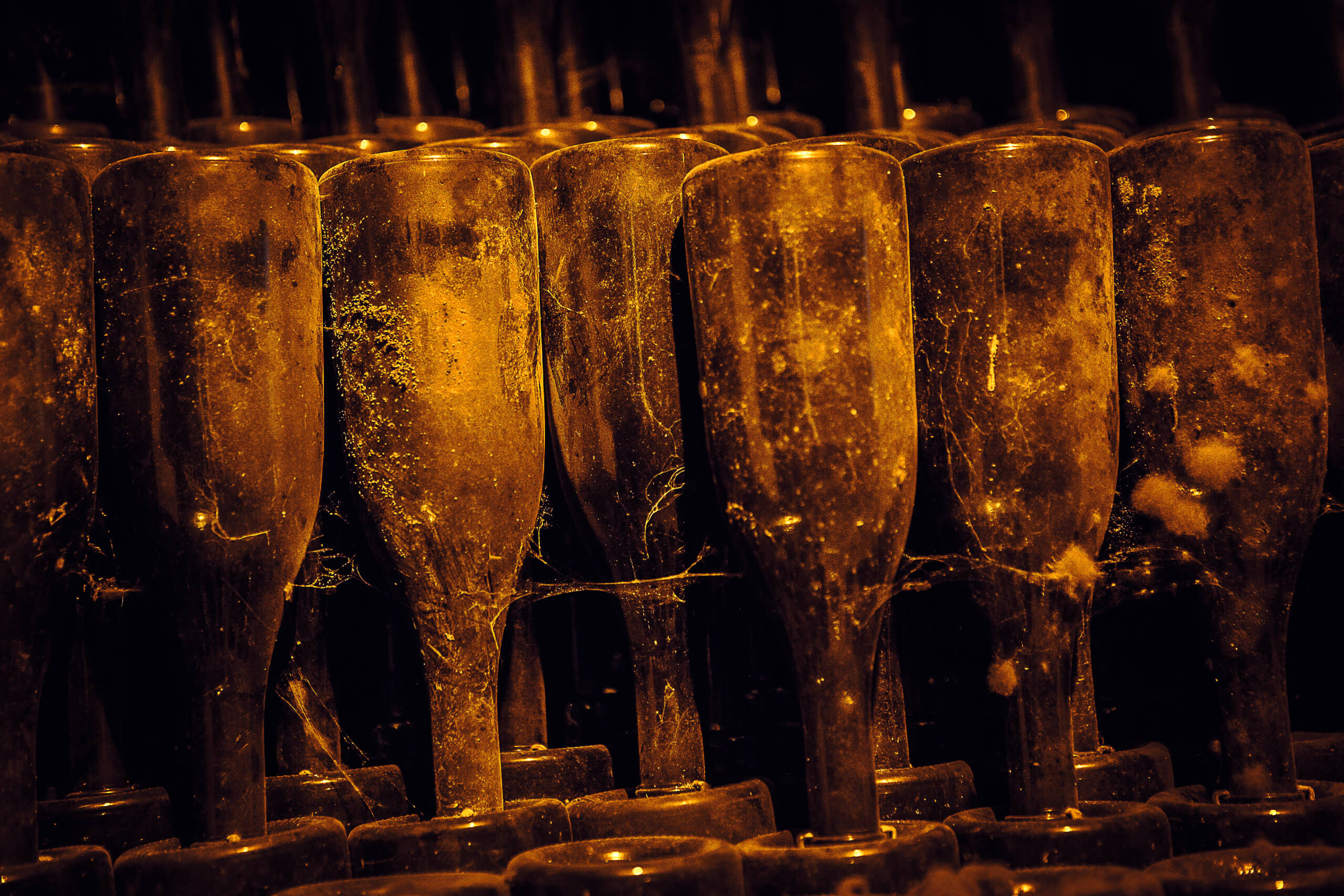 L’art de l’éternel - Champagne Philipponnat