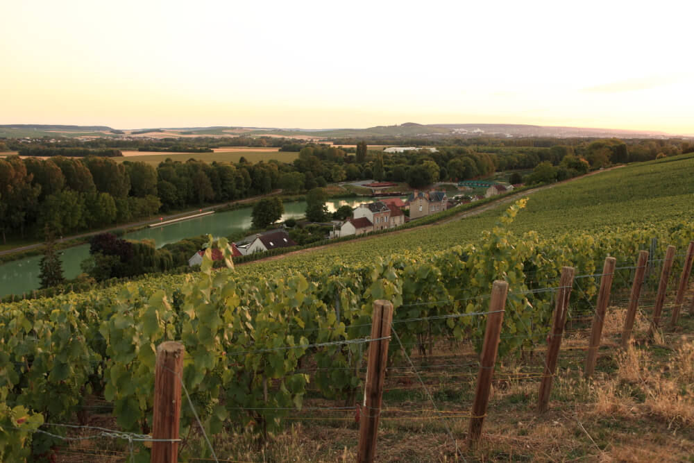 Clos des Goisses - Champagne Philipponnat