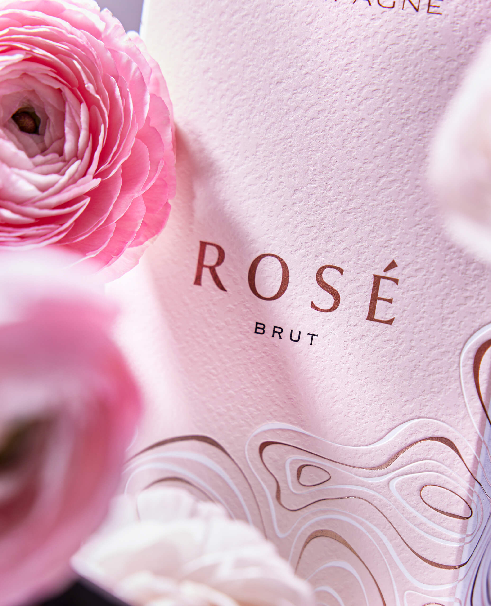Rosé - Champagne Philipponnat
