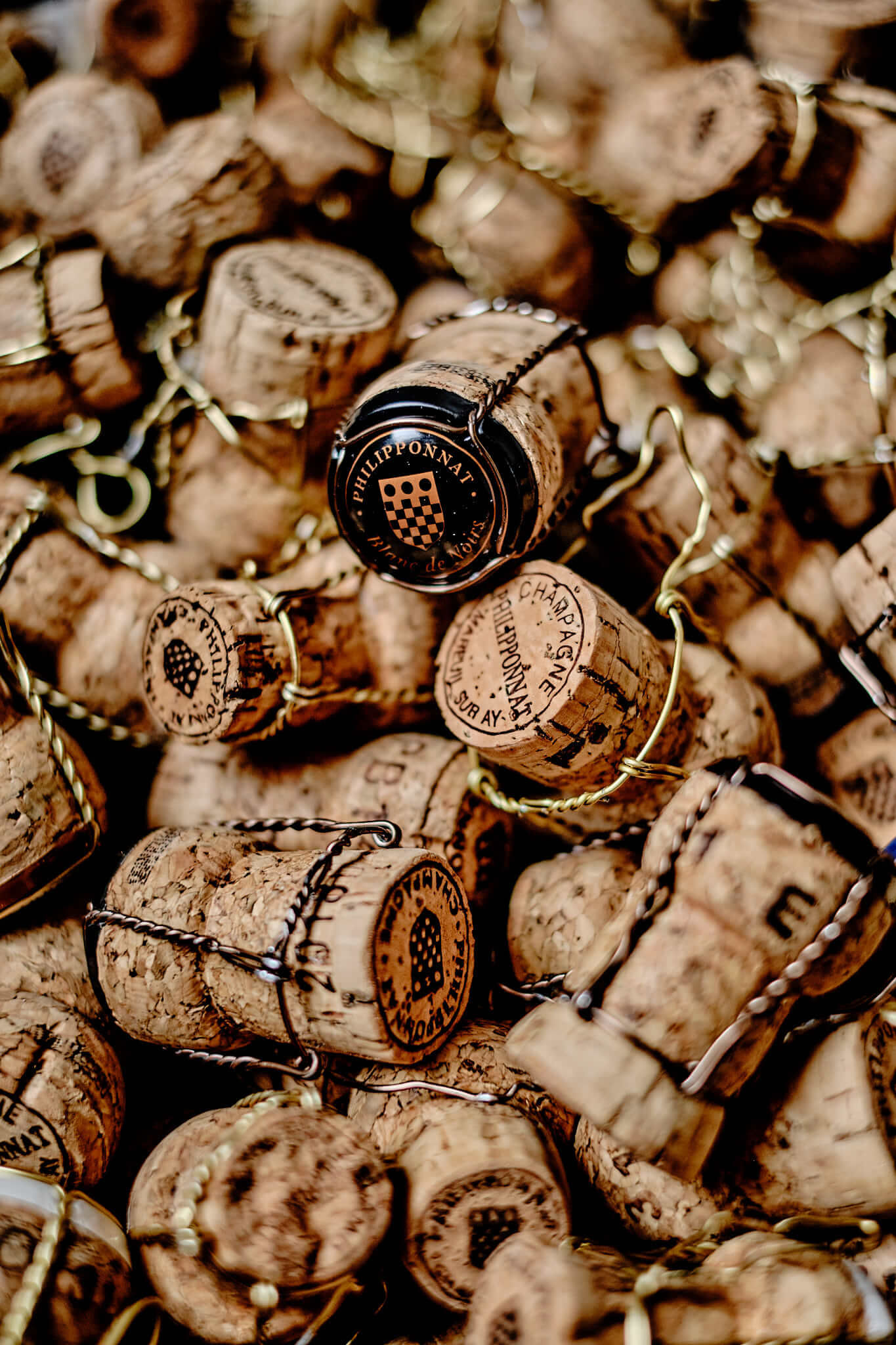 Les Mystères de la Champagne - Champagne Philipponnat