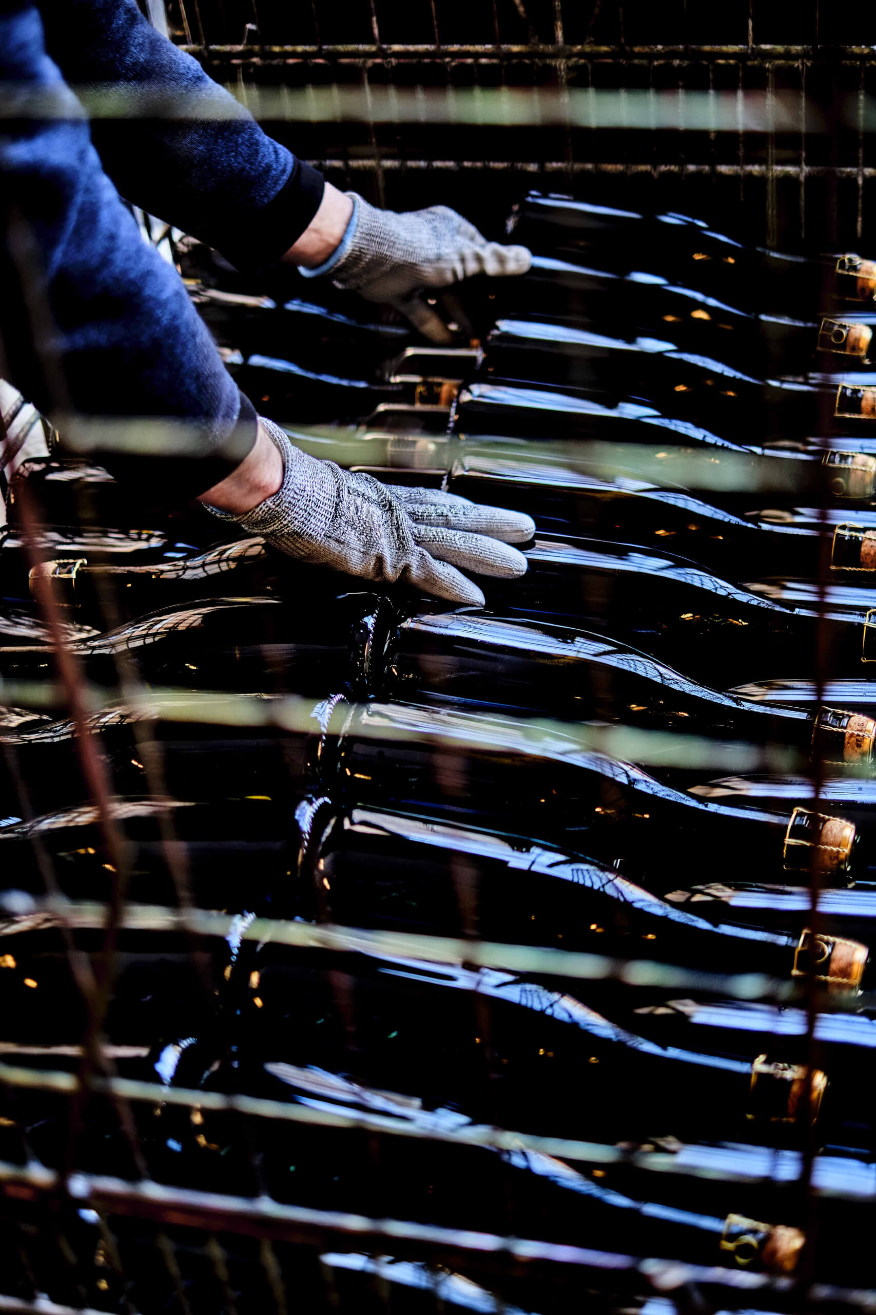 Les Mystères de la Champagne - Champagne Philipponnat