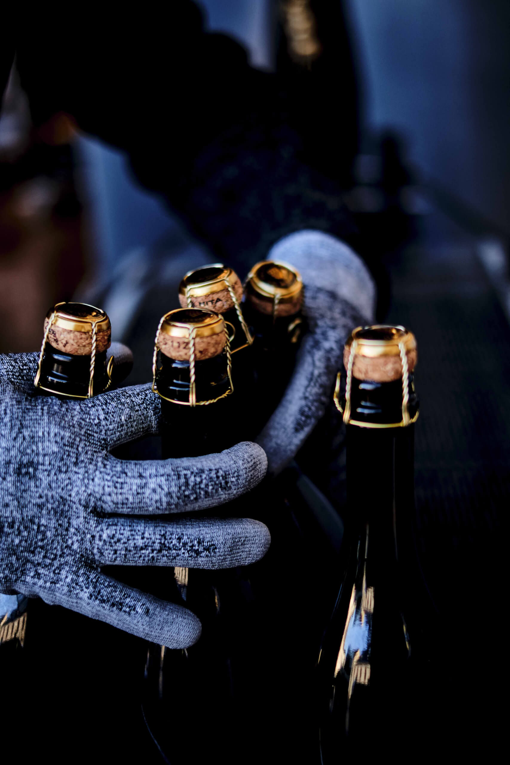 Les Mystères de la Champagne - Champagne Philipponnat