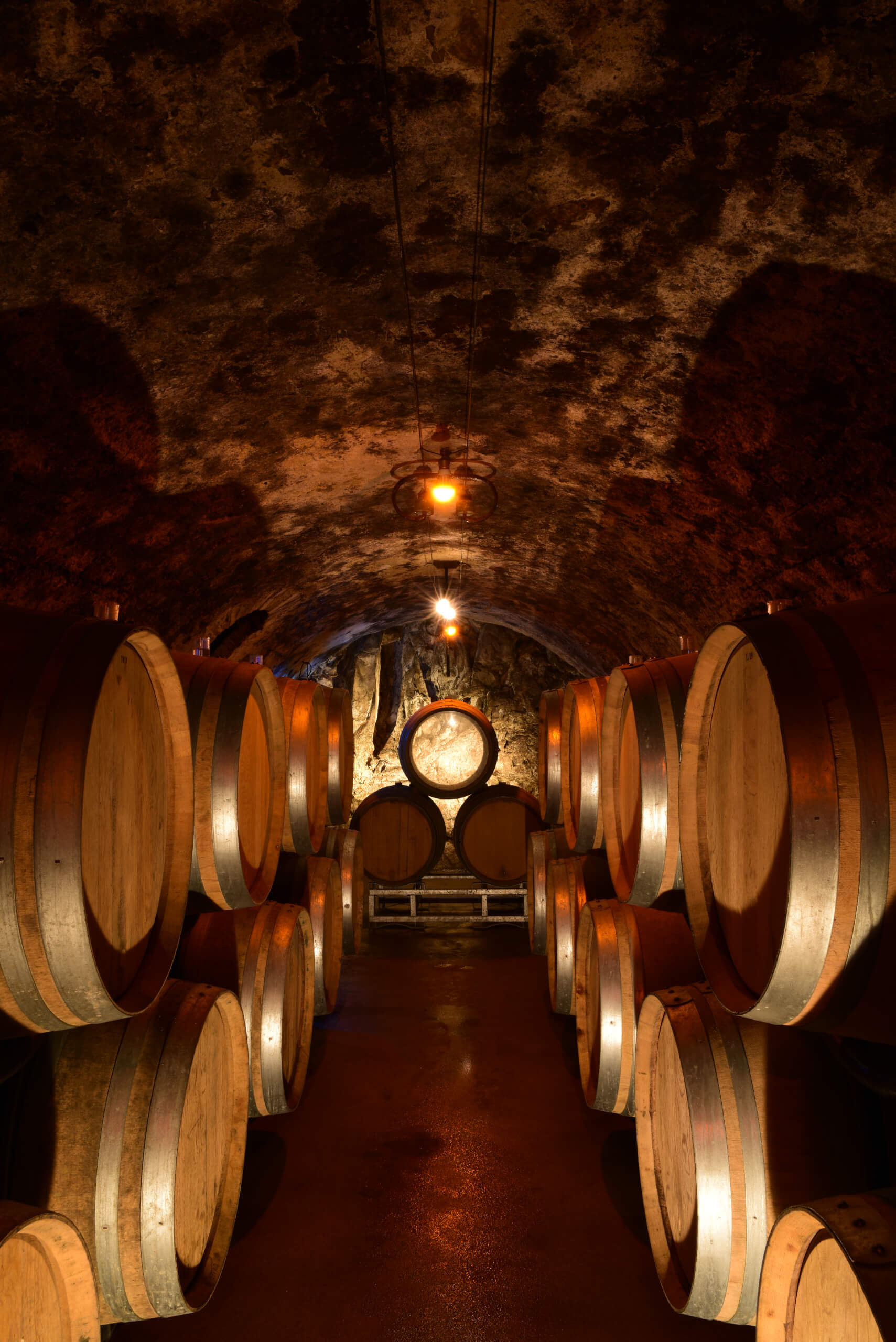 Les Origines - Champagne Philipponnat