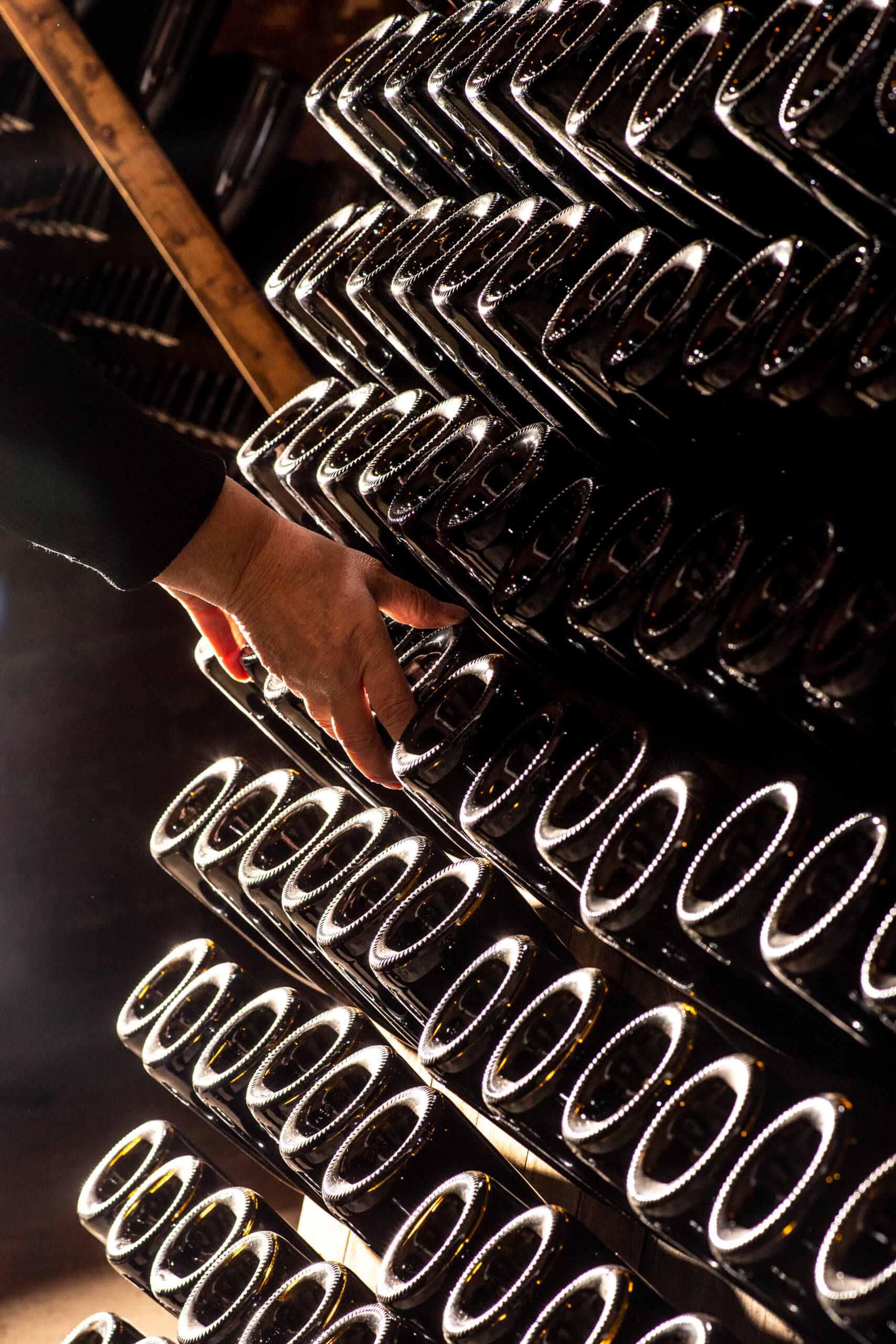 Les Origines - Champagne Philipponnat