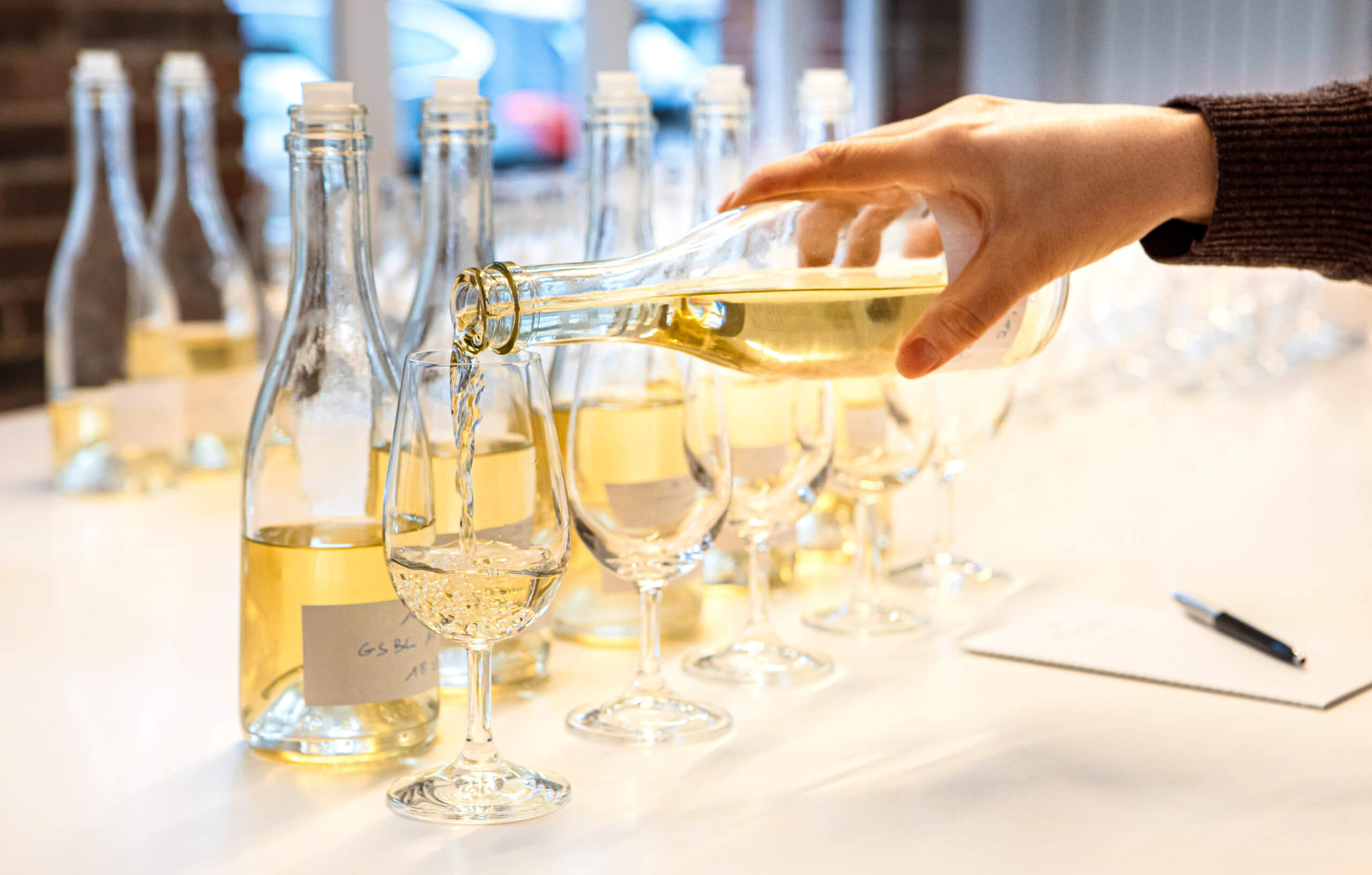 Les vins clairs 2026 - Champagne Philipponnat