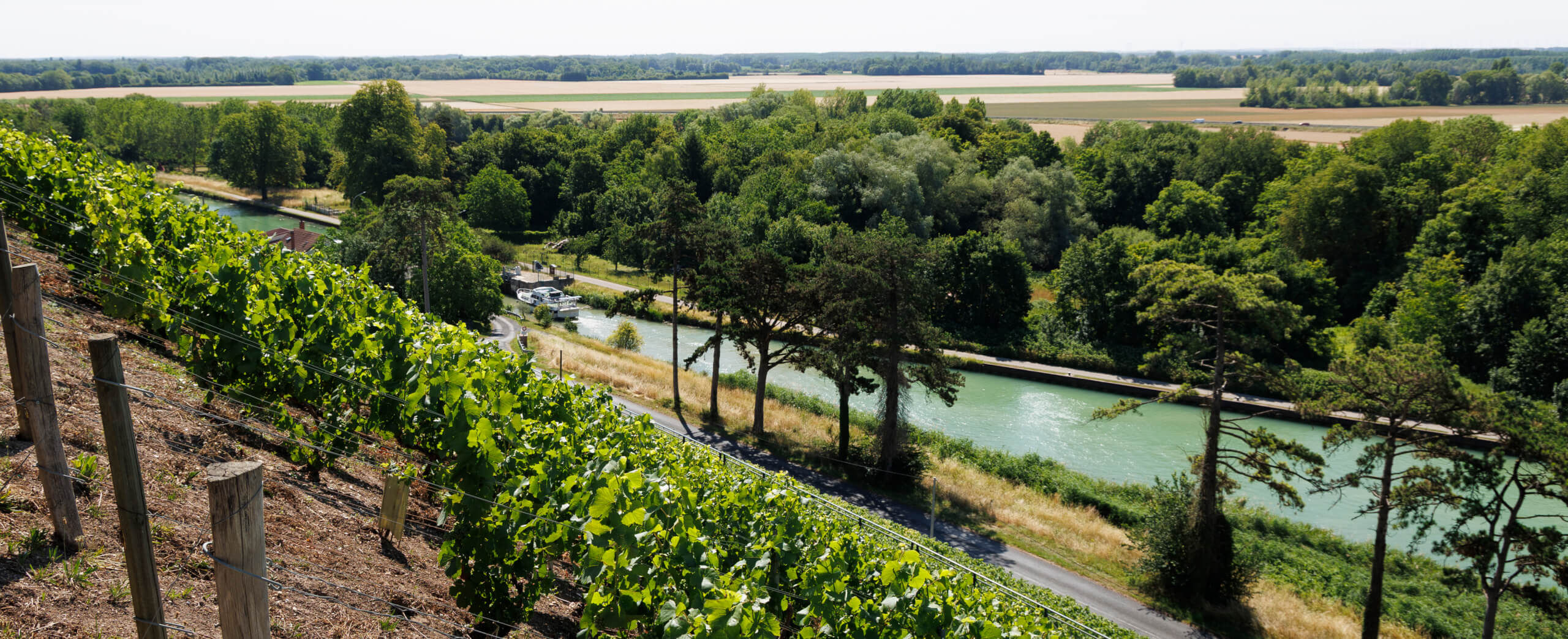 Une immersion au cœur de la Maison - Champagne Philipponnat