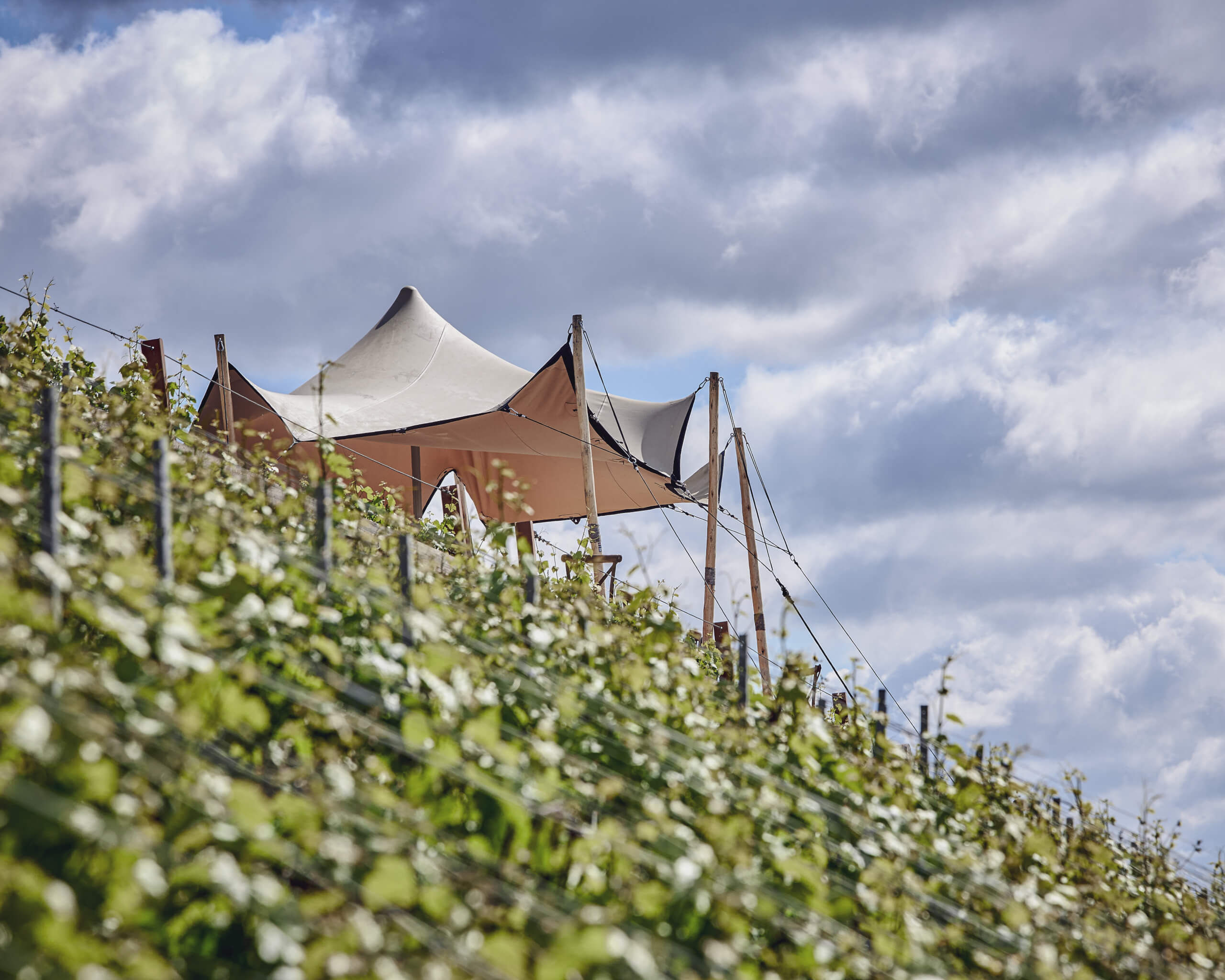 La Champagne au fil de l&rsquo;eau - Champagne Philipponnat