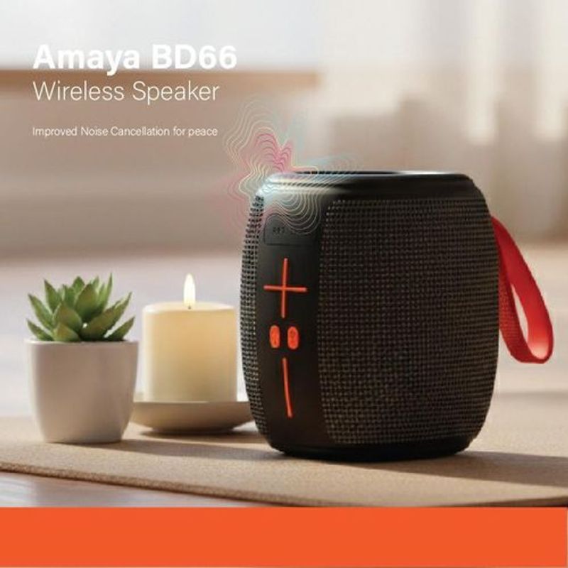 Amaya BD66 Speaker - image 2