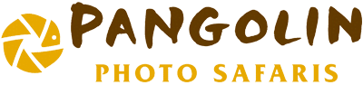 Pangolin Photo Safaris logo