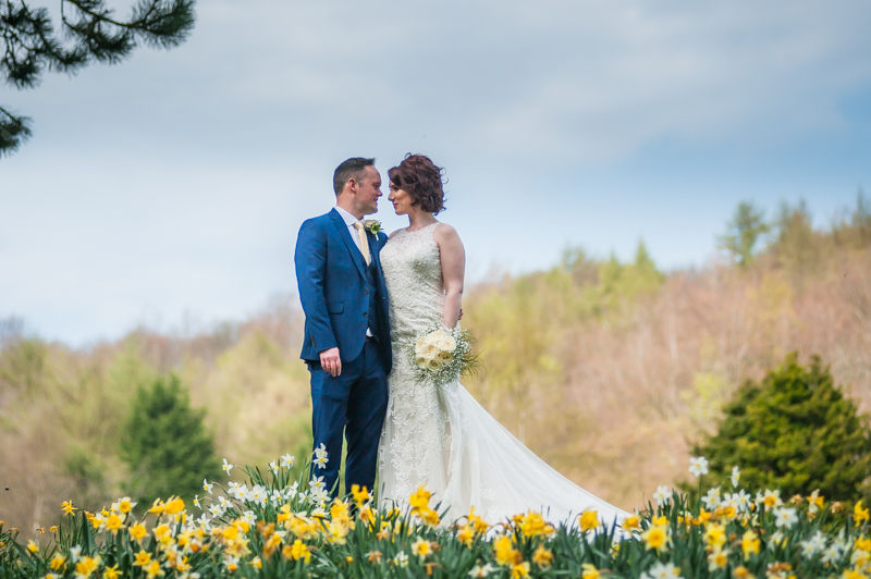 Bride and groom walking in daffodils, Whirlowbrook Hall wedding
