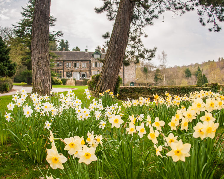 Whirlowbrook Hall wedding photography Sheffield
