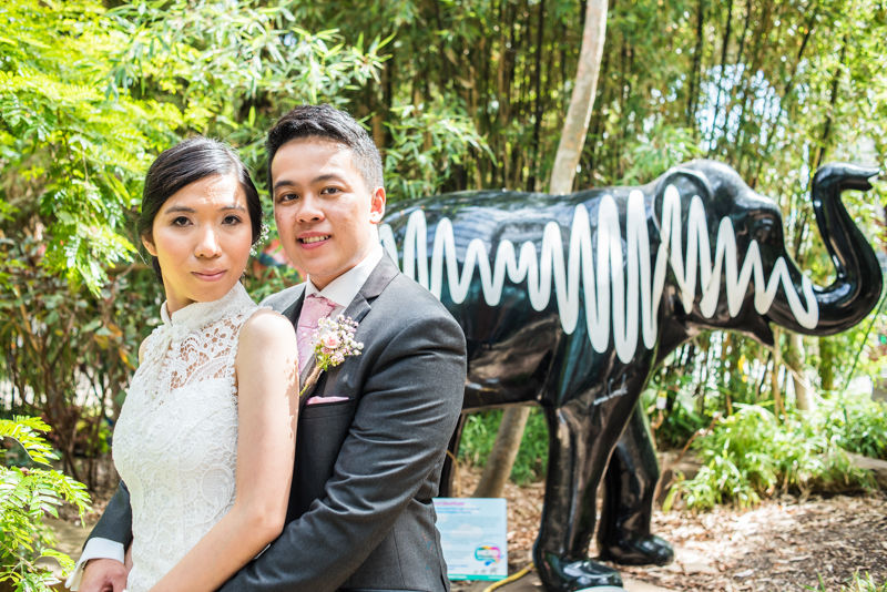 Sheffield elephant for wedding couple Carmen & Chris