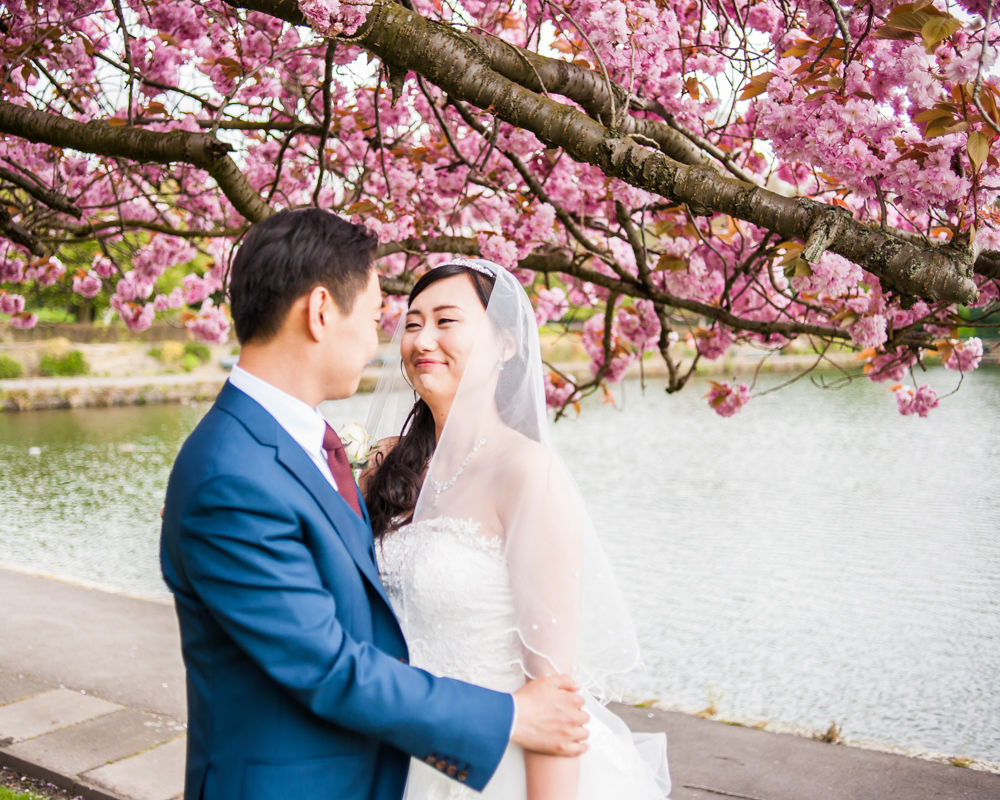 Bride and groom by blossom, Crookes Valley Park, Sheffield wedding photographer, Chinese wedding