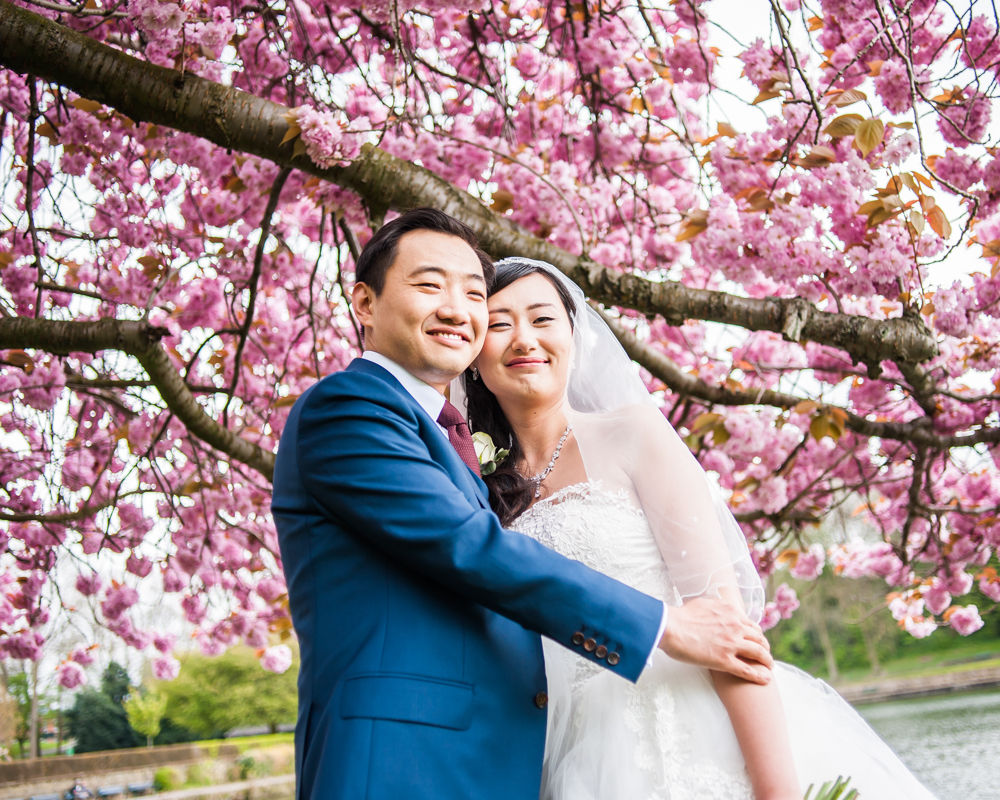 Blossom and bride and groom, Crookes Valley Park, Sheffield wedding photographer, Chinese wedding