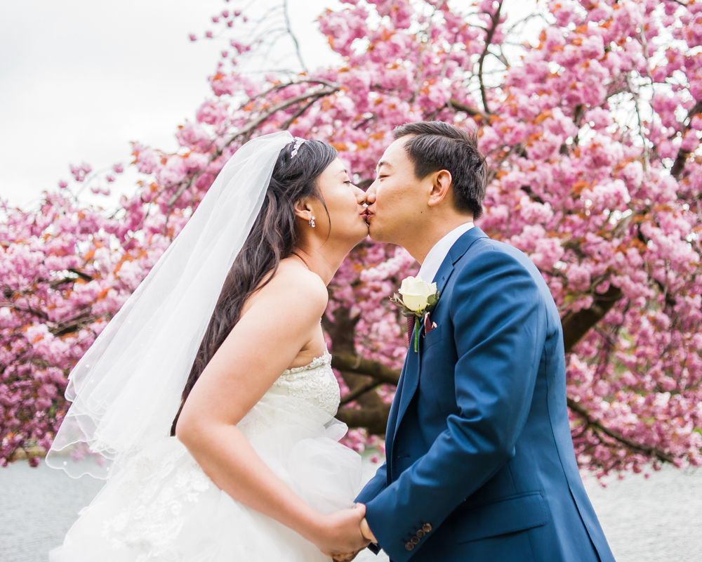 Bride and groom kiss outside blossom, Sheffield wedding photographer, Chinese wedding