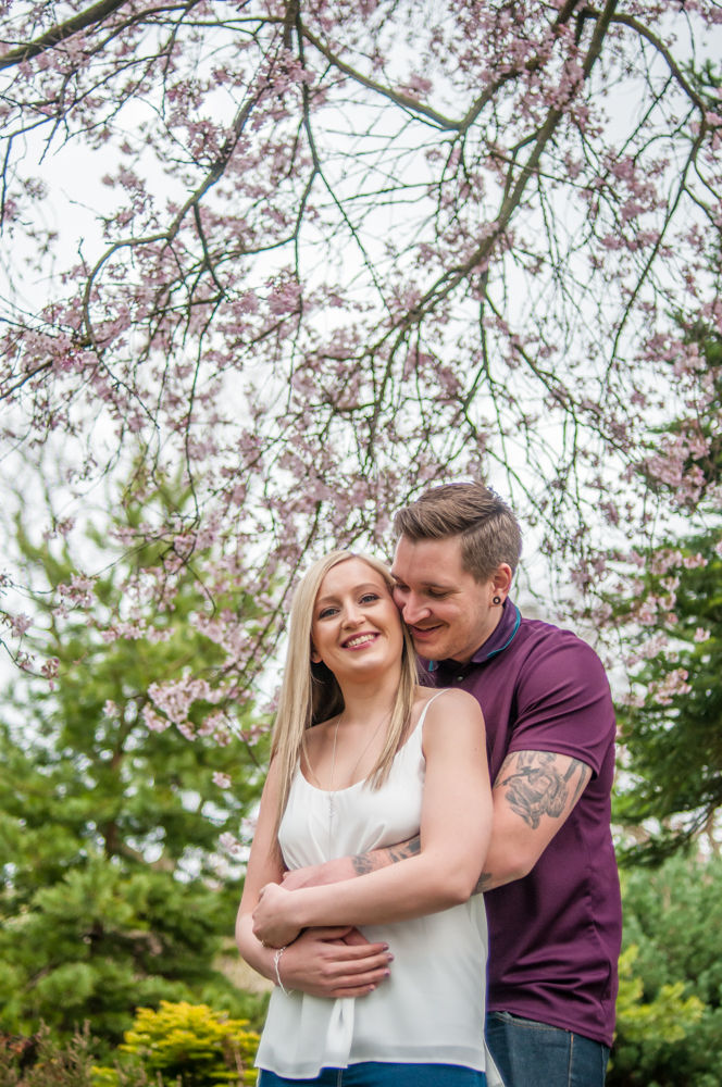 Blossom tree hugging, Botanical Gardens Sheffield wedding photographers
