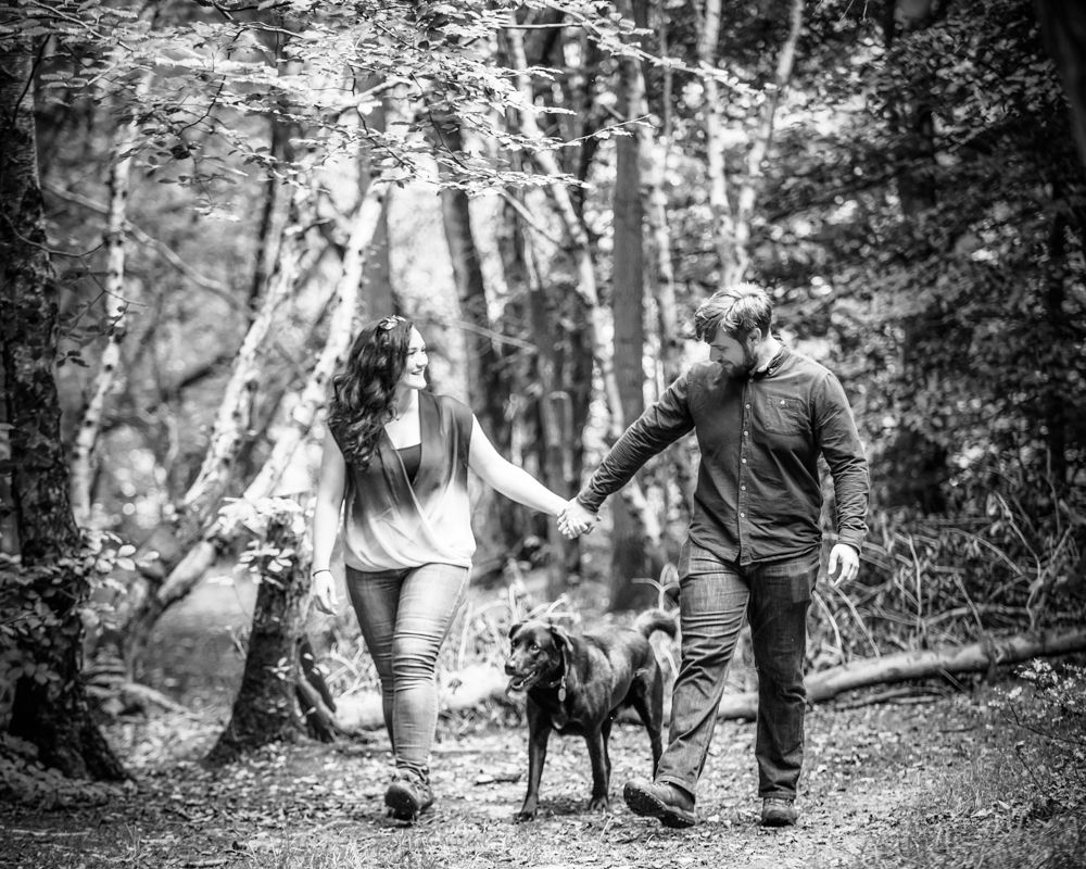 Walking dog, Greno woods engagement portraits