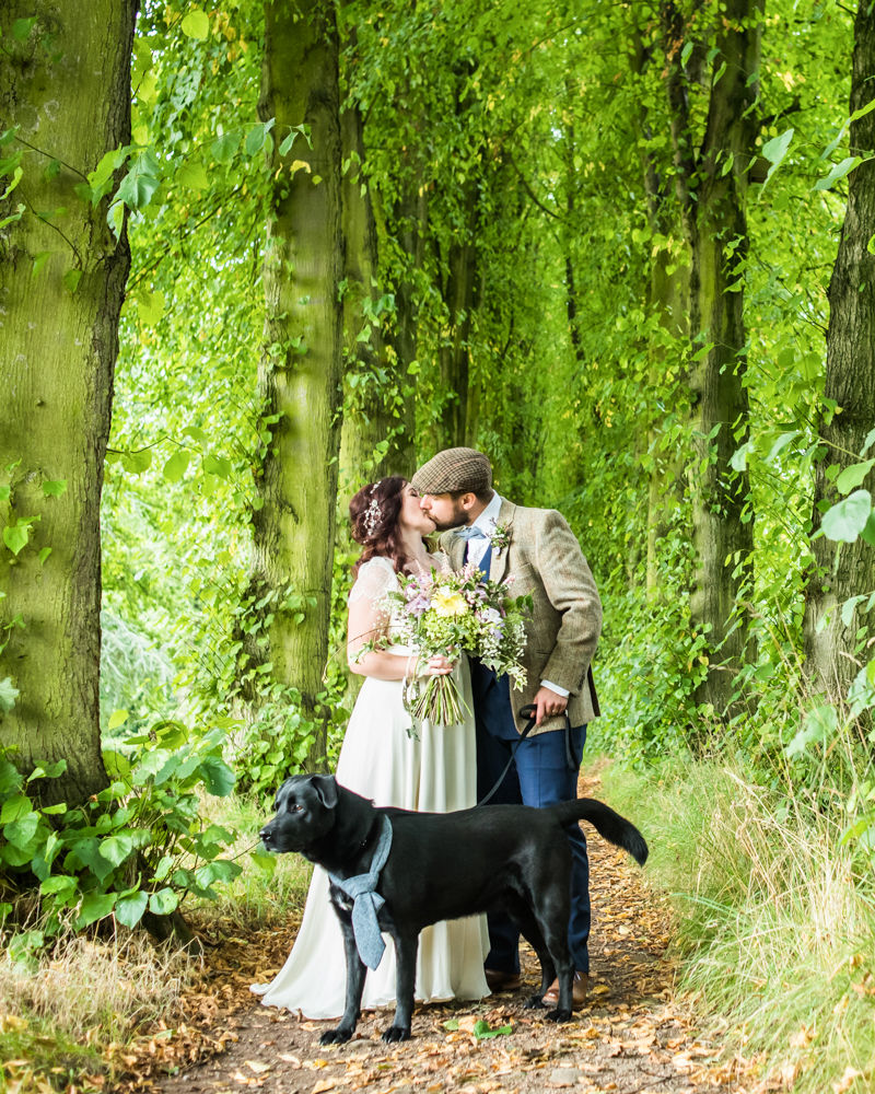 Bride and groom kissing on tree walk,  Wentworth Castle Garden wedding, Sheffield photographers