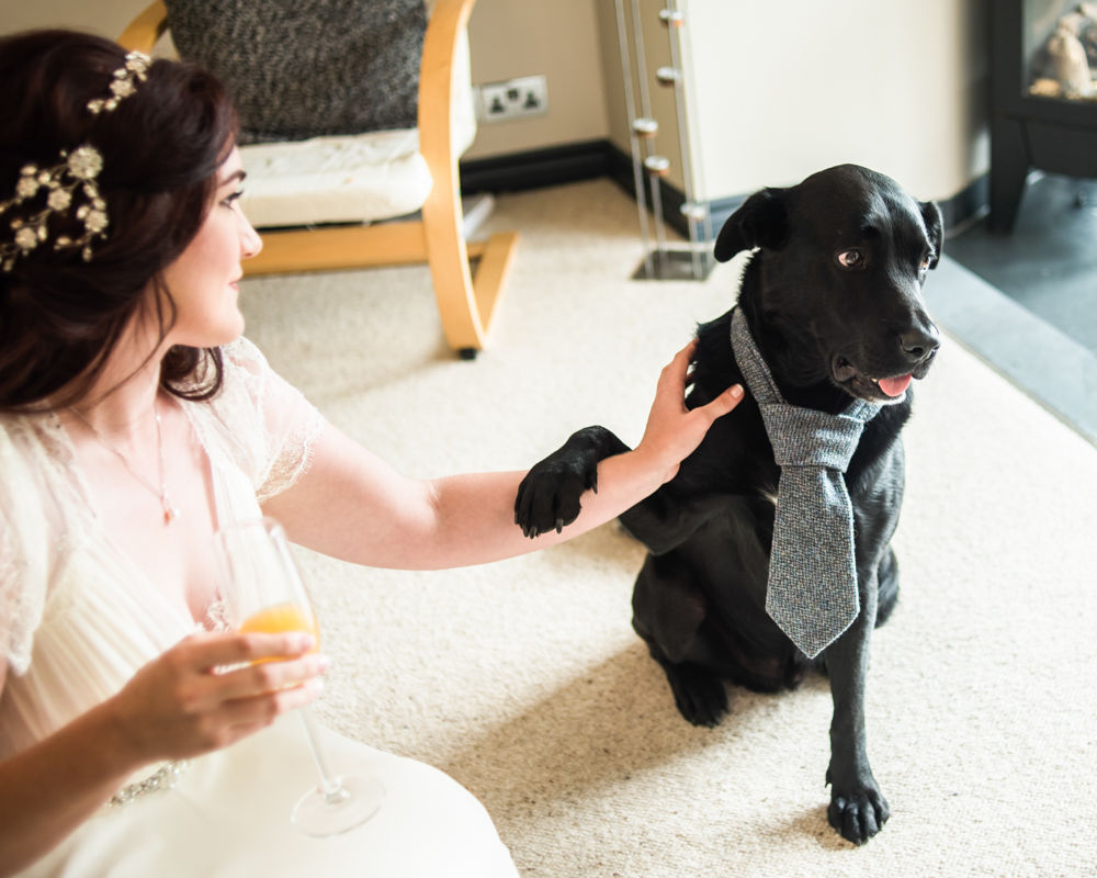 Dog bestman,  Wentworth Castle Garden wedding, Sheffield photographers