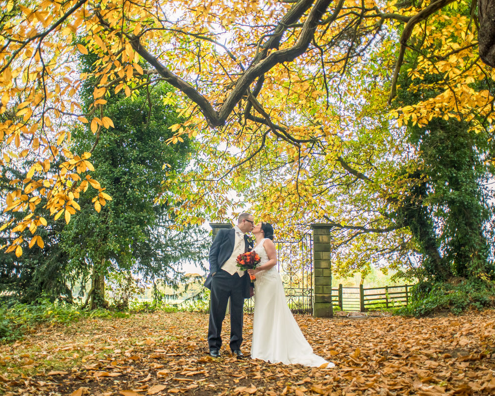 Autumn leaves in woods, Wortley Hall wedding, Sheffield wedding photographers
