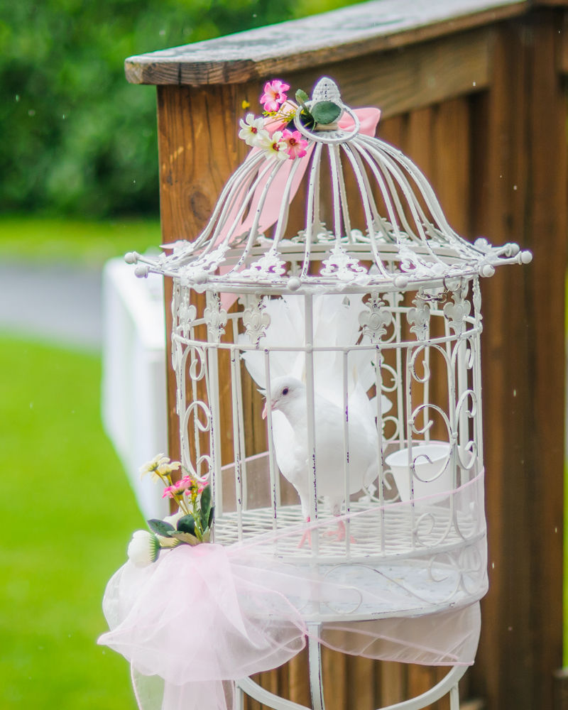 Dove, Maynard wedding photography Sheffield