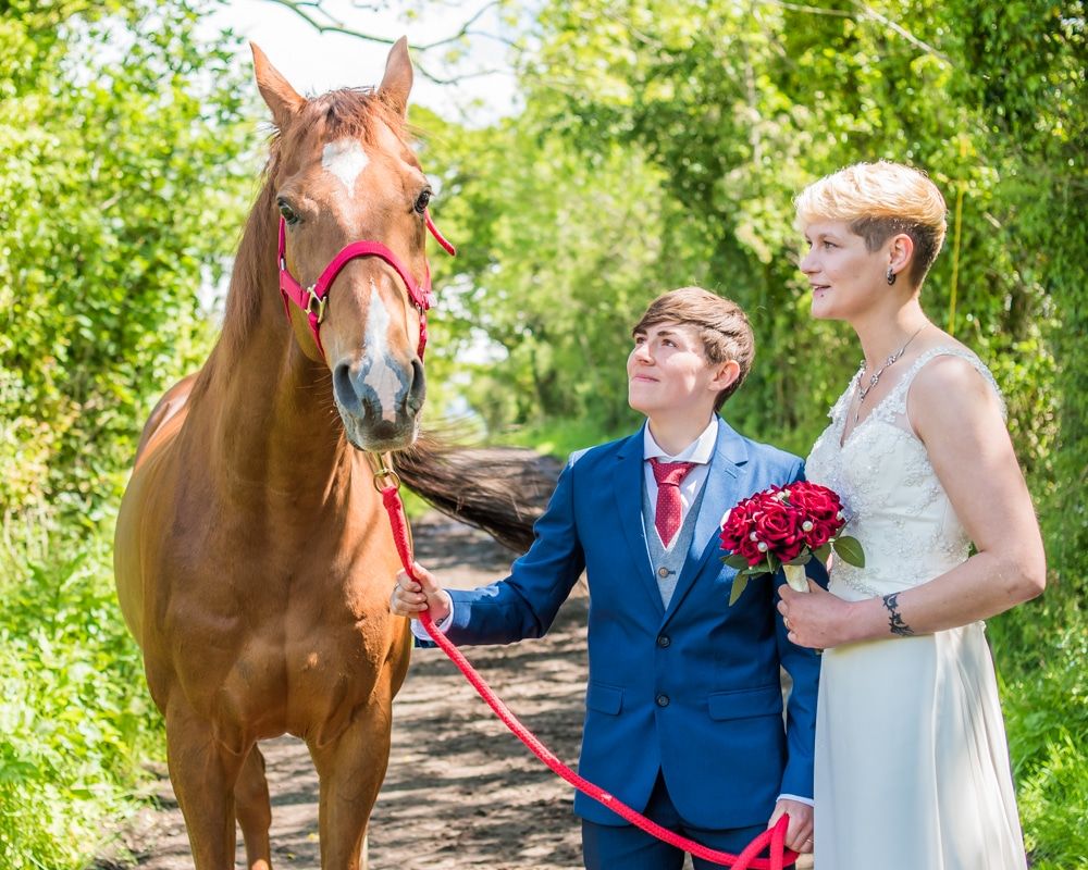 With snowy the racehorse,Carlisle Register office, Lake District wedding photography