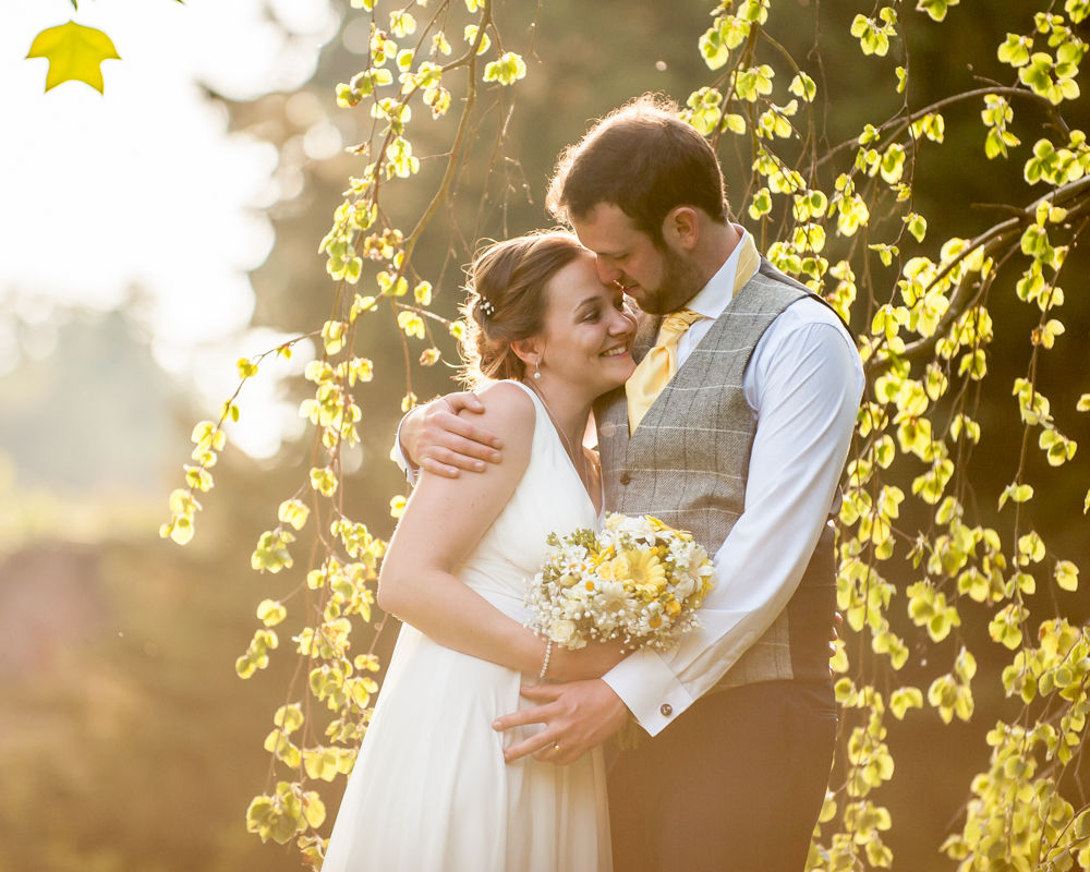 Ringwood Hall bride and groom in sunlight tree, cheap wedding photographers Sheffield