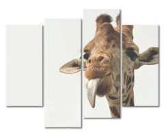2023 Best of Giraffe Canvas Wall Art