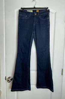 Pilcro Dark Wash Low Rise Flare Leg Jeans Size 27