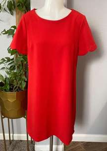 Los Angeles Scalloped Shift Dress Size Large