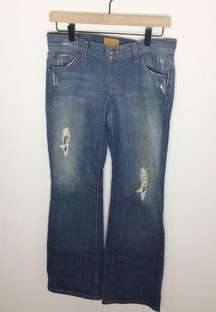 James Jeans Size 27 4 distressed long tall bootcut