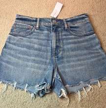 Outfitters Highest Rise 90 Boyfriend Short