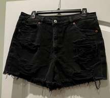 Outfitters Jean Shorts