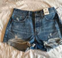 501 Shorts