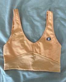 Champion Crop Top