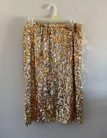 Glitter Skirt