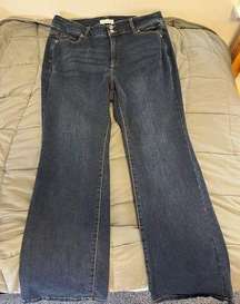 Women’s 18S Lane Bryant Jeans