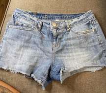 Lauren Conrad Shorts