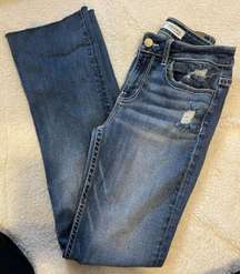 Buckle  Stella Bootcut Jeans