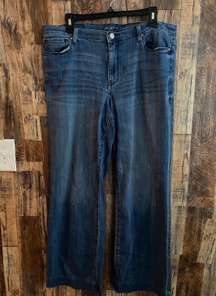 jeans soho 800 t women's size 16 Length 39 inseam 38 rise 10