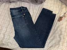 Wildflower Brand Jeans