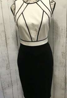 White House Black Market Graphic Sleeveless Sheath dress Size 2P Black & Ecru