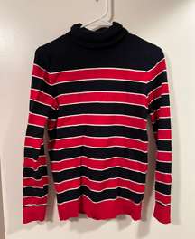 Striped Turtle Neck