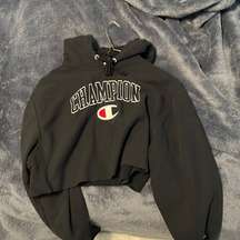 Champion cropped sweatshirt