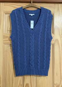 Purple American eagle Sweater Vest