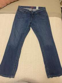 Ada Cinch woman’s dark wash bootcut denim jeans size 32 / 13 R