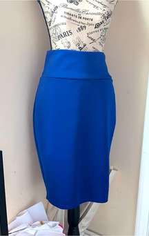 Royal Blue Skirt