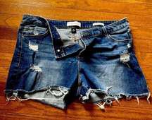 Women’s Distressed Jean Shots; ; Like New. size 31